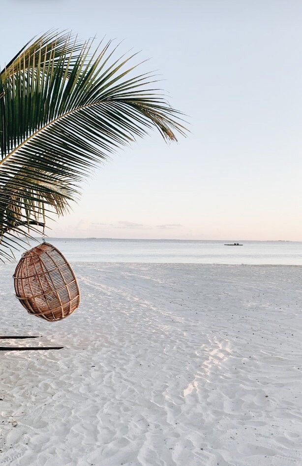 a hammock hanging from a palm tree on the beach