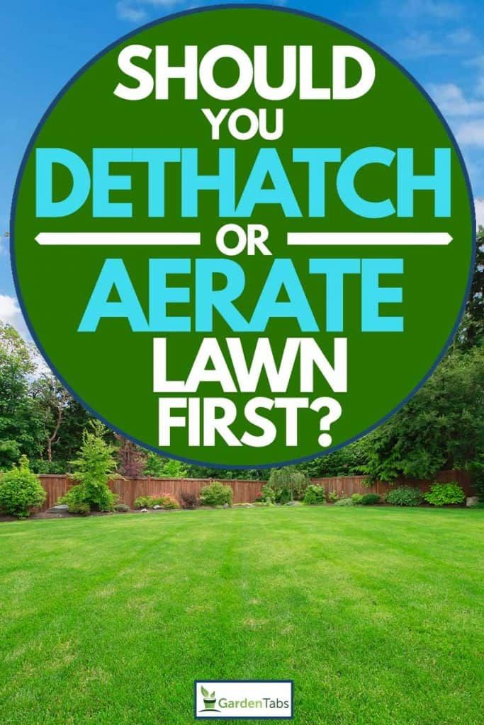 a lawn with the words should you dethatch or aerate lawn first?