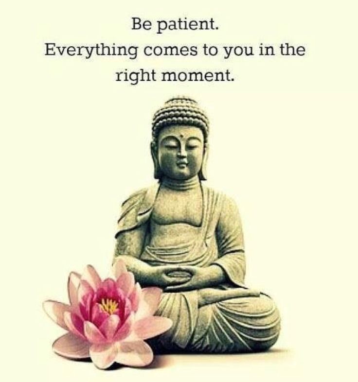 a buddha statue sitting in front of a pink flower with an inspirational quote below that reads, be patient everything comes to you in the right moment