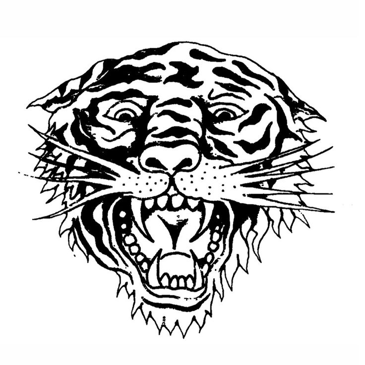 a black and white drawing of a tiger's face