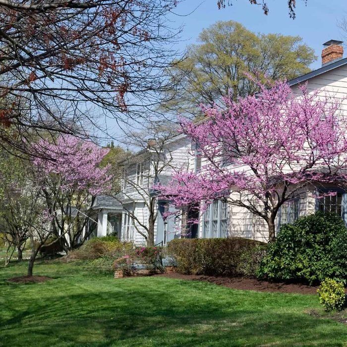 a white house with pink flowers in the front yard and trees on either side of it