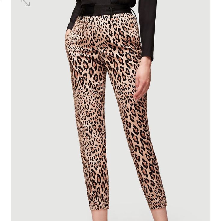 Size 4. Brand New Velvet Pants, Current Collection, Sadly They Don’t Fit Me Such A Good Statement Piece. Fitted Leopard Print Trousers, Chic Leopard Print Pants For Work, Chic Leopard Print Workwear Bottoms, Trendy Leopard Print Pants For Work, Leopard Print Trousers For Fall, Fall Leopard Print Trousers, Chic Straight Leg Leopard Print Pants, Chic Leopard Print Trousers, Elegant Fitted Leopard Print Bottoms