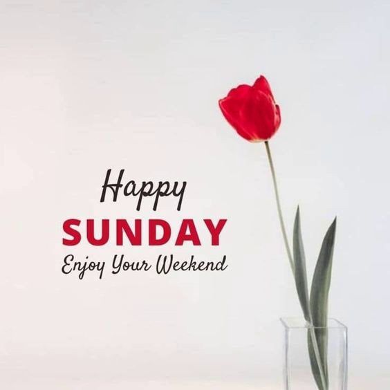 a red tulip in a vase with the words happy sunday enjoy your weekend