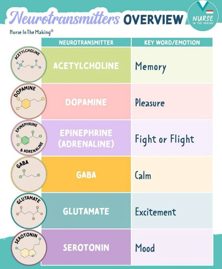 the different types of neurotransities in each one's body and their names