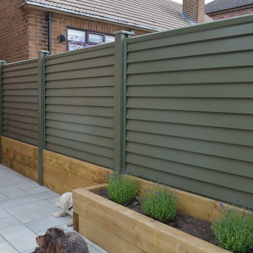 a dog is standing in front of a fence and some plants on the side walk