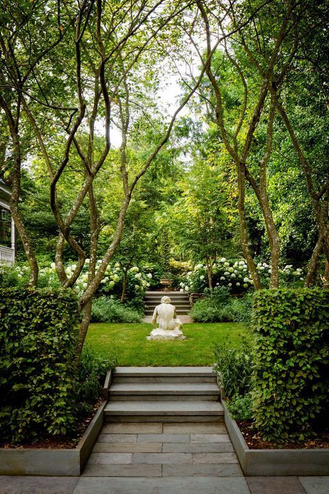 an outdoor garden with steps leading up to the lawn and bushes surrounding it, surrounded by greenery