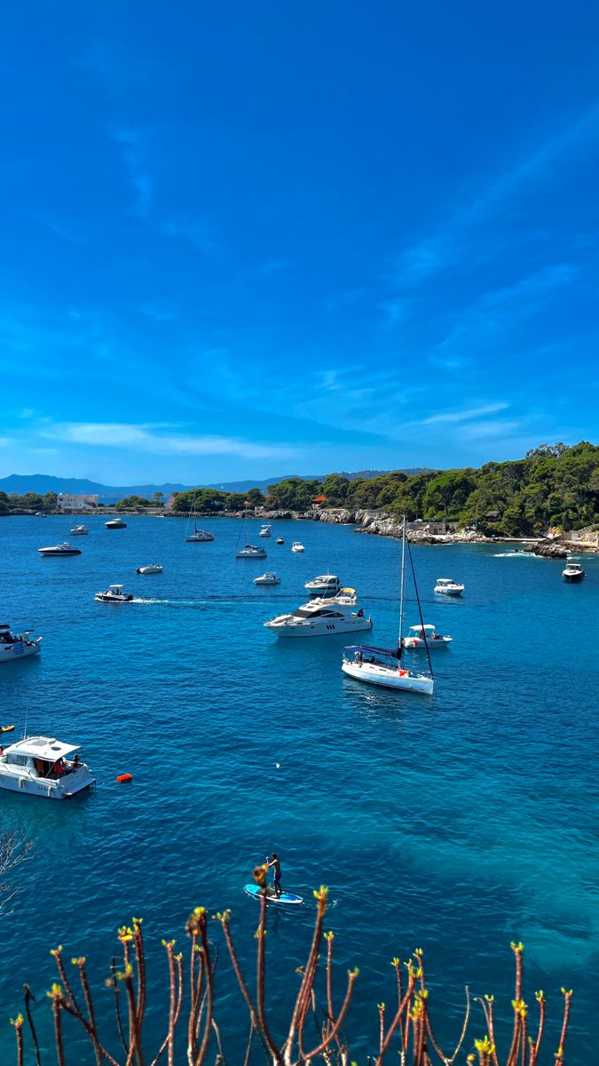 many boats are in the water on a sunny day