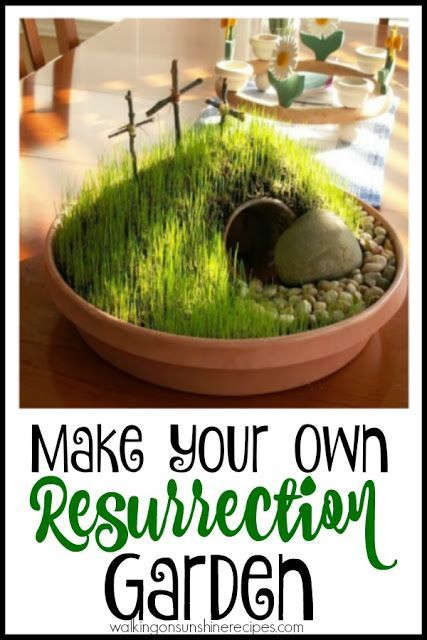 a potted plant with grass growing inside it and the words make your own reconstruction garden