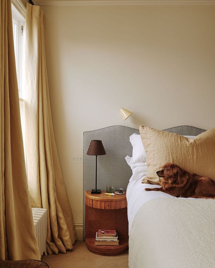 a brown dog laying on top of a bed next to a lamp and window with drapes