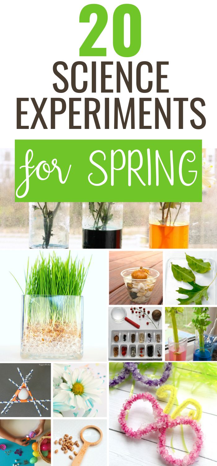 science experiments for spring with text overlay that reads, 20 science experiments for spring