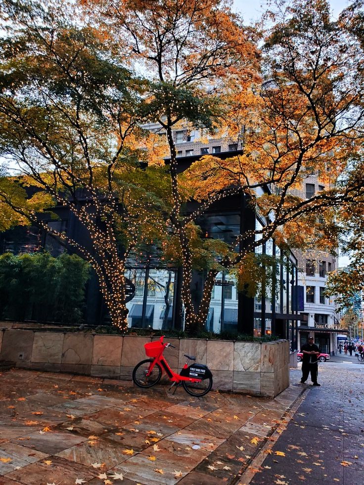 a red bike parked on the side of a street next to trees with yellow leaves