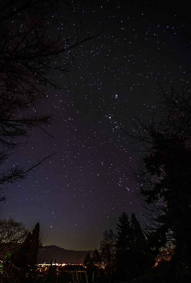 the night sky is filled with stars and trees