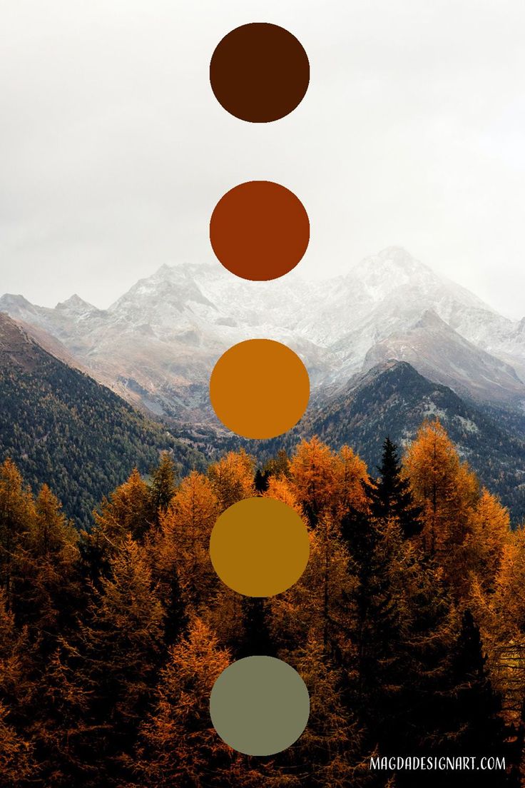 the five circles are arranged in front of some trees and mountains with snow on them