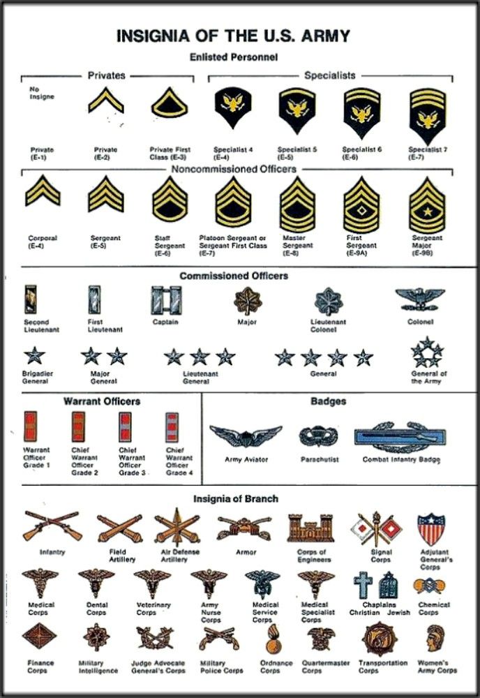 the insignia of the u s army is shown in this diagram, and it shows different symbols