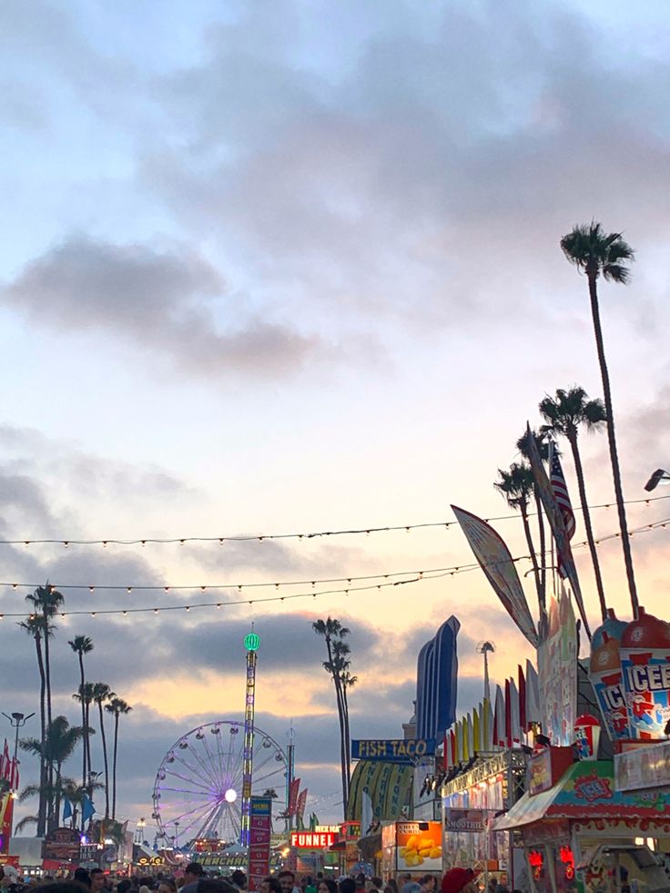 an amusement park at dusk with ferris wheel and palm trees