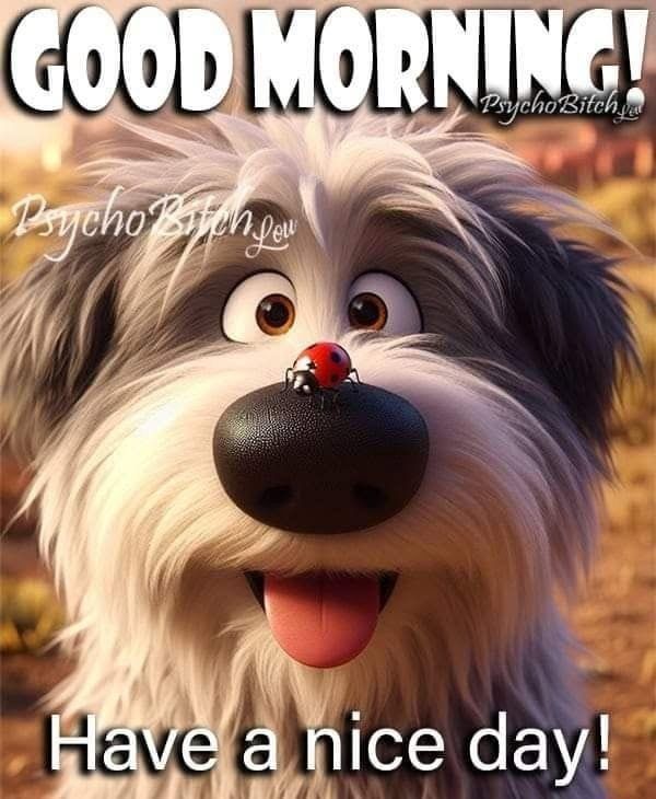 a dog is smiling with the caption good morning have a nice day