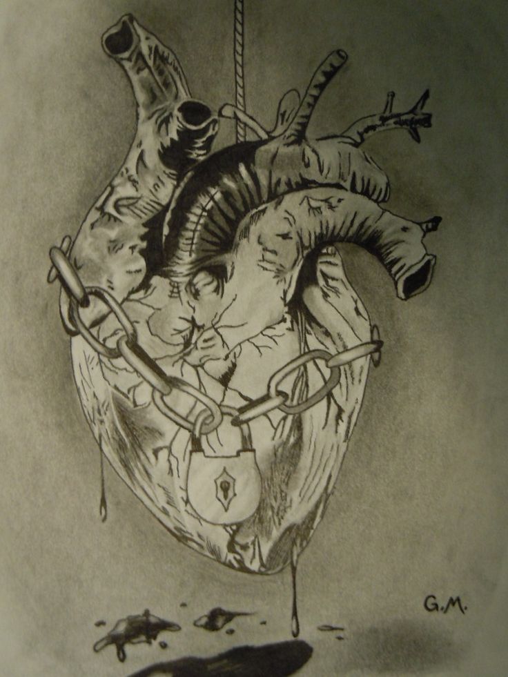 a drawing of a human heart with an arrow stuck in it's side and two mice on the ground