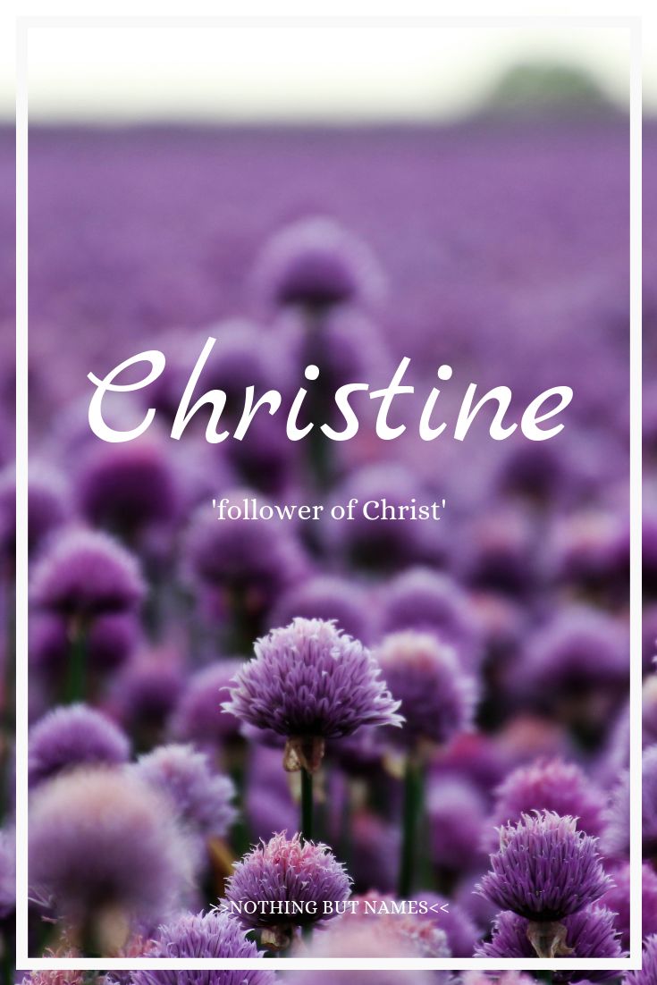 purple flowers with the words, christine on it in white frame above them is a field