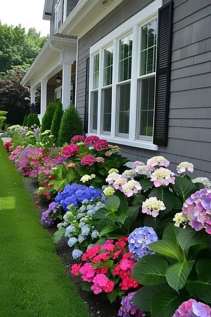 colorful flowers line the side of a house