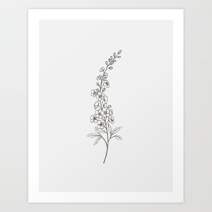 Delphinium Tattoo Black And White, Delphinium Flower Illustration, Lilac Stem Tattoo, Delphinium Line Art, Larkspur Line Drawing, Delphinium Flower Tattoo Black And White, Lilac Flower Tattoo Black And White, Larkspur Fine Line Tattoo, Fine Line Larkspur Tattoo