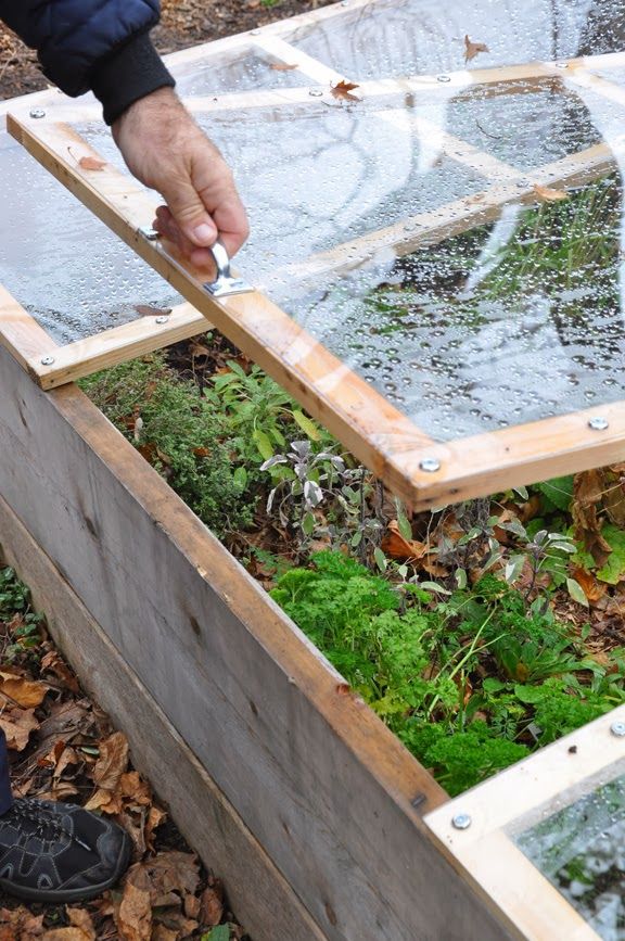 How to Build a Removable Cold Frame on top of your raised veg beds... Cold Frame Gardening, Vegetable Garden Raised Beds, Diy Raised Garden, Raised Garden Beds Diy, Veg Garden, Cold Frame, Raised Bed, Food Garden, Garden Structures