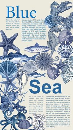 the blue sea poster is shown with various marine animals and other things to see in it