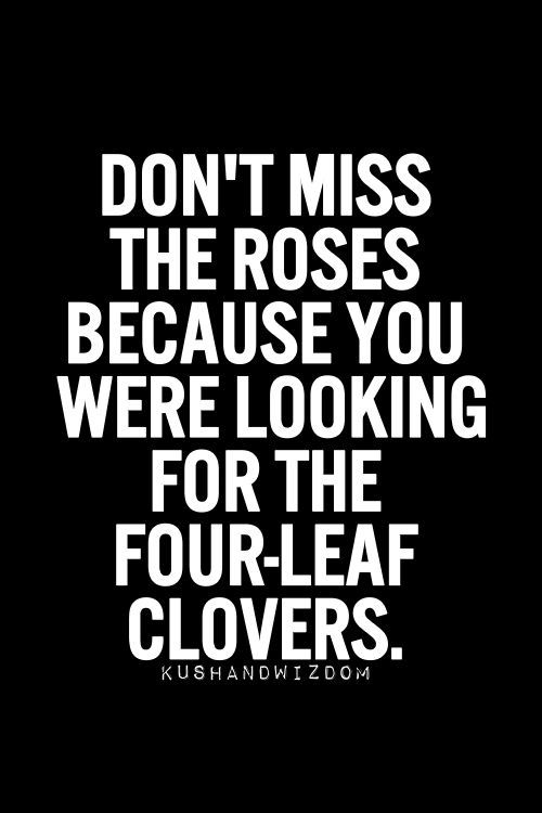 a quote that reads, don't miss the roses because you were looking for the four - leaf clovers