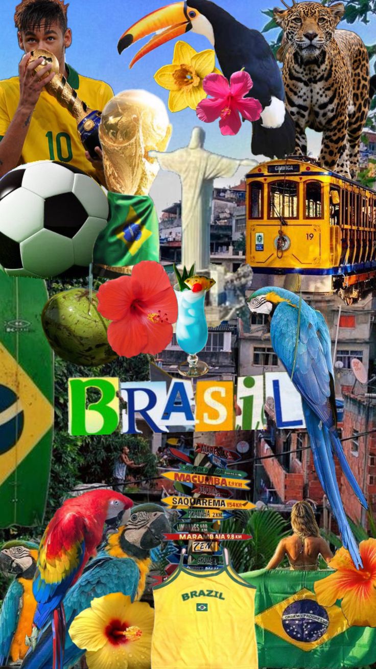 a collage of photos with birds, flowers and soccer balls