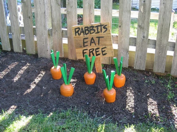 carrots are placed in the dirt near a sign that says rabbits eat free