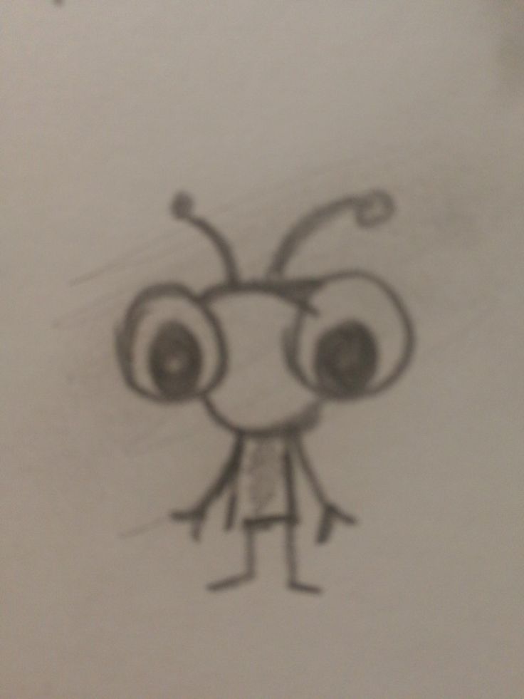 a drawing of a bug with big eyes