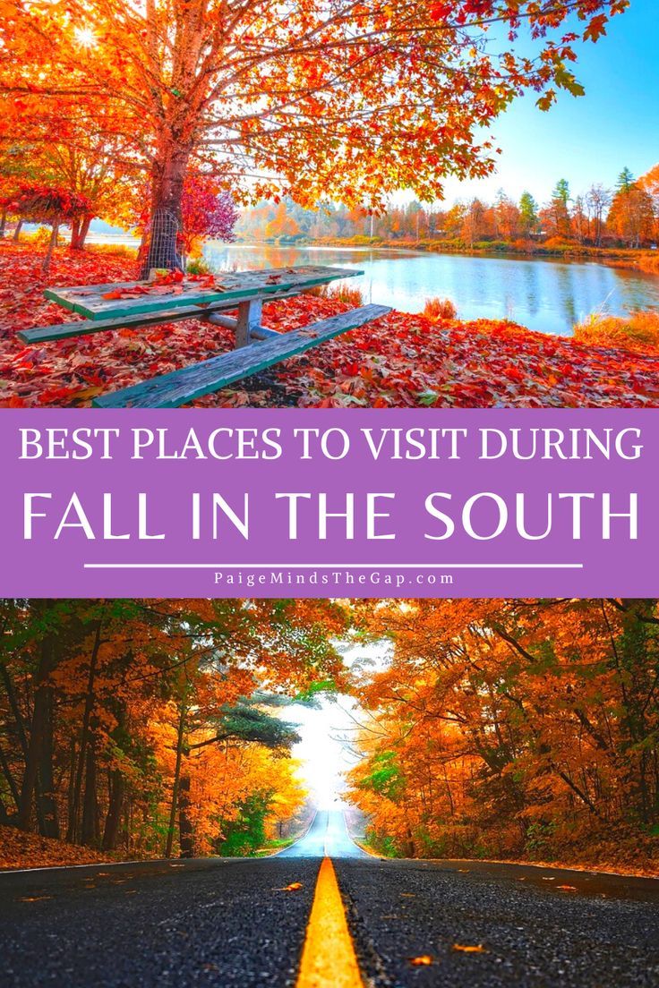 fall in the south with text overlay that reads best places to visit during fall in the south