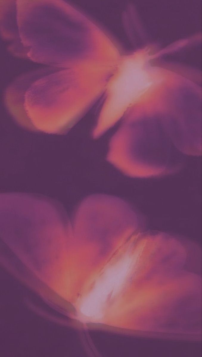 an abstract photograph of flowers in pink and orange colors with blurry petals against a black background