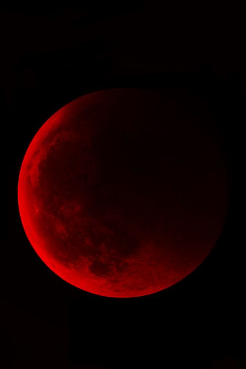 a red moon is seen in the dark sky