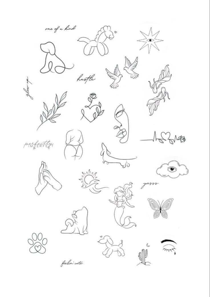 a drawing of various animals and birds