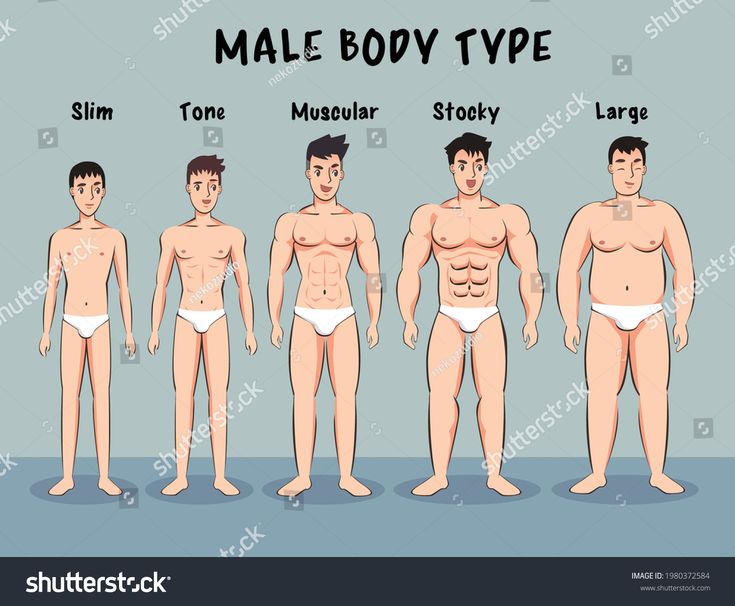 Male Body Shapes, Male Body Types, Mens Body Types, Male Body Drawing, Ideal Male Body, Types Of Body Shapes, Body Type Drawing, Okinawa Flat Belly Tonic, Bodybuilding Workout Plan