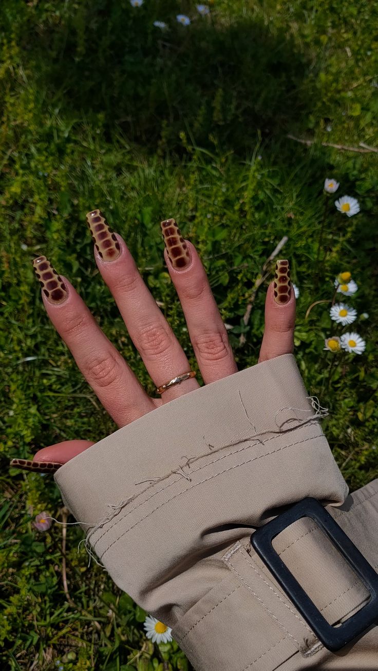 Grey Crocodile Nails, Almond Nails Croc Print, Chrome Crocodile Nails, Blooming Gel Croc Nails, Short Crocodile Nails, Croc Skin Nails, Brown Crocodile Nails, Brown Croc Nails, Crocodile Nail Design