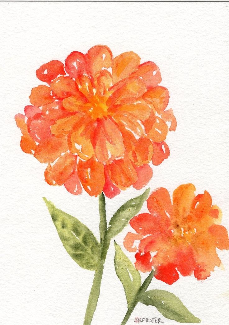 watercolor painting of two orange flowers on white paper