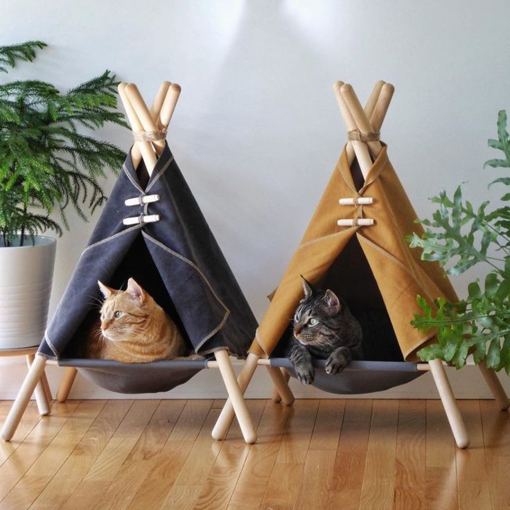 two cats are sitting in their teepees on the floor