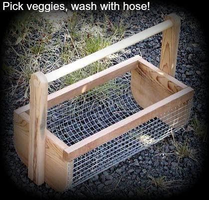 a small wooden box with wire on the sides and grass growing in it's bottom