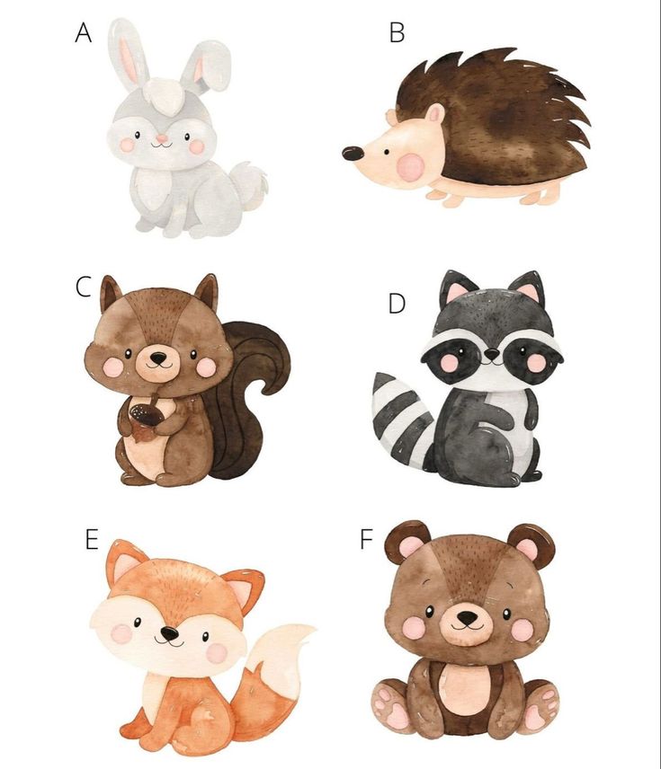 four different types of stuffed animals are shown