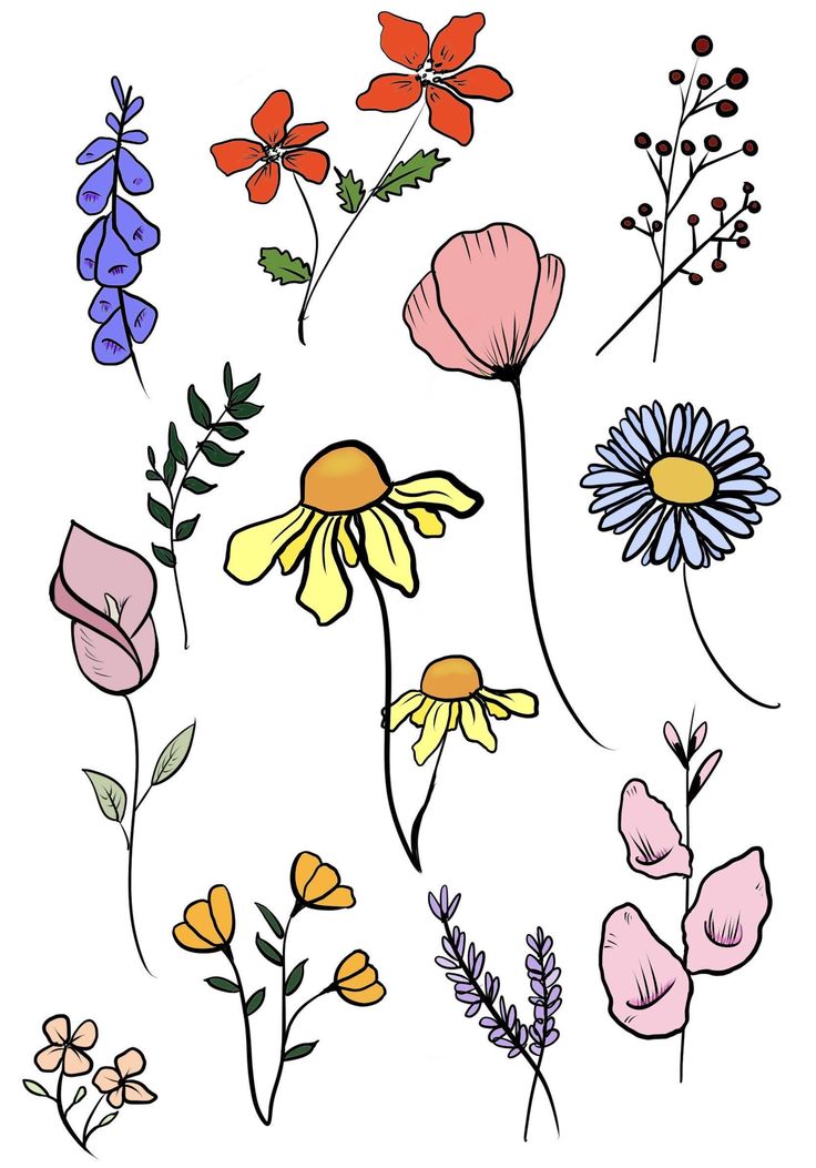 a bunch of different colored flowers on a white background