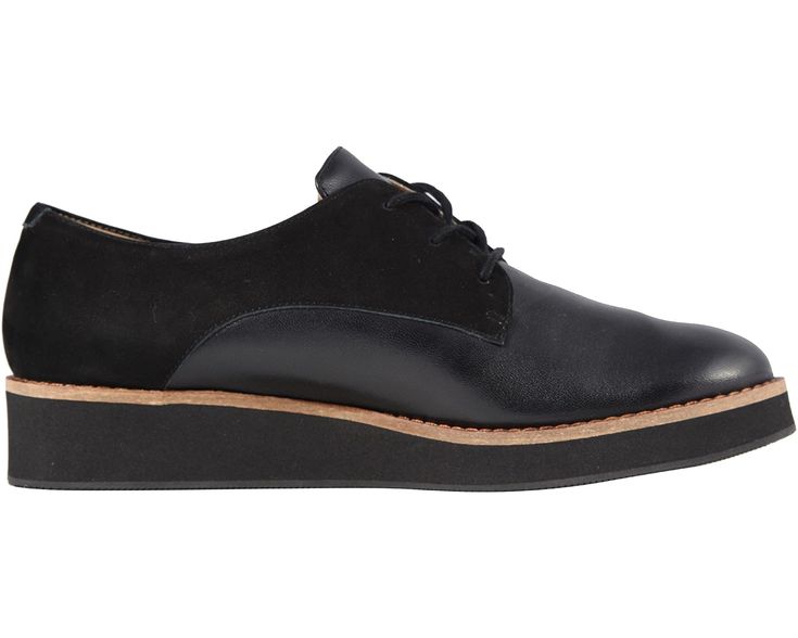 SoftWalk Willis | Zappos.com Black Suede Oxfords With Rubber Sole, Black Suede Wingtip Oxfords, Fall Workwear Lace-up Shoes With Textured Sole, Flat Heel Lace-up Shoes With Leather Footbed For Work, Suede Oxfords With Brogue Detailing, Suede Oxfords With Brogue Detailing And Flat Heel, Suede Lace-up Dress Shoes With Cushioned Footbed, Fall Workwear Low-top Lace-up Shoes, Suede Oxfords With Rubber Sole And Almond Toe