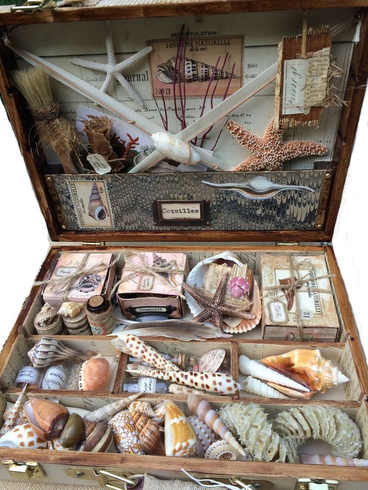 an open suitcase filled with seashells and shells