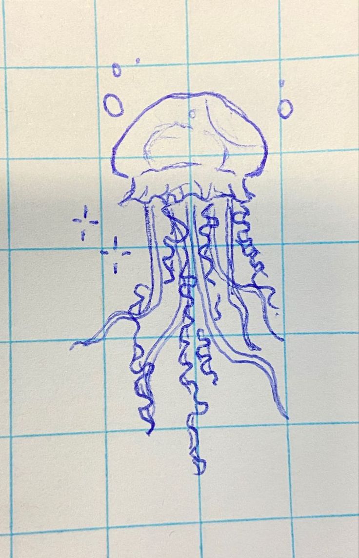 a drawing of a jellyfish on graph paper