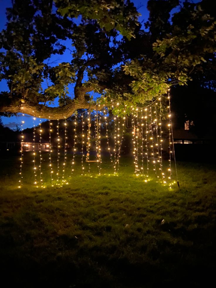 an outdoor area with lights strung from the trees and on the grass at night time