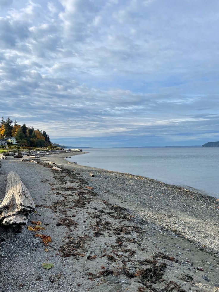 a log laying on top of a sandy beach next to the ocean under a cloudy sky