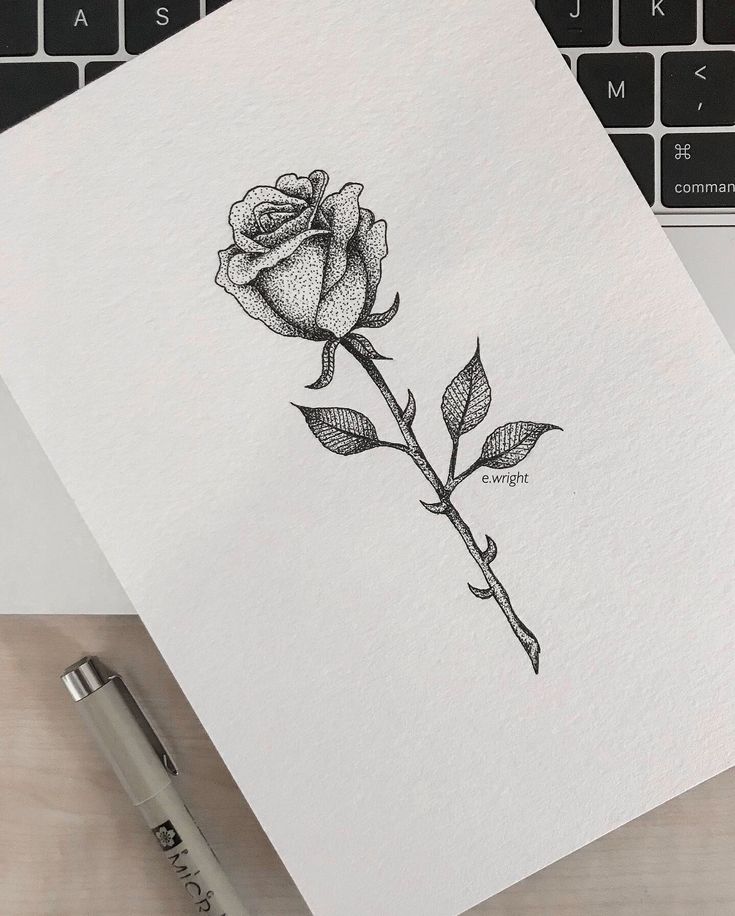 a pencil drawing of a single rose on paper next to a computer keyboard and pen