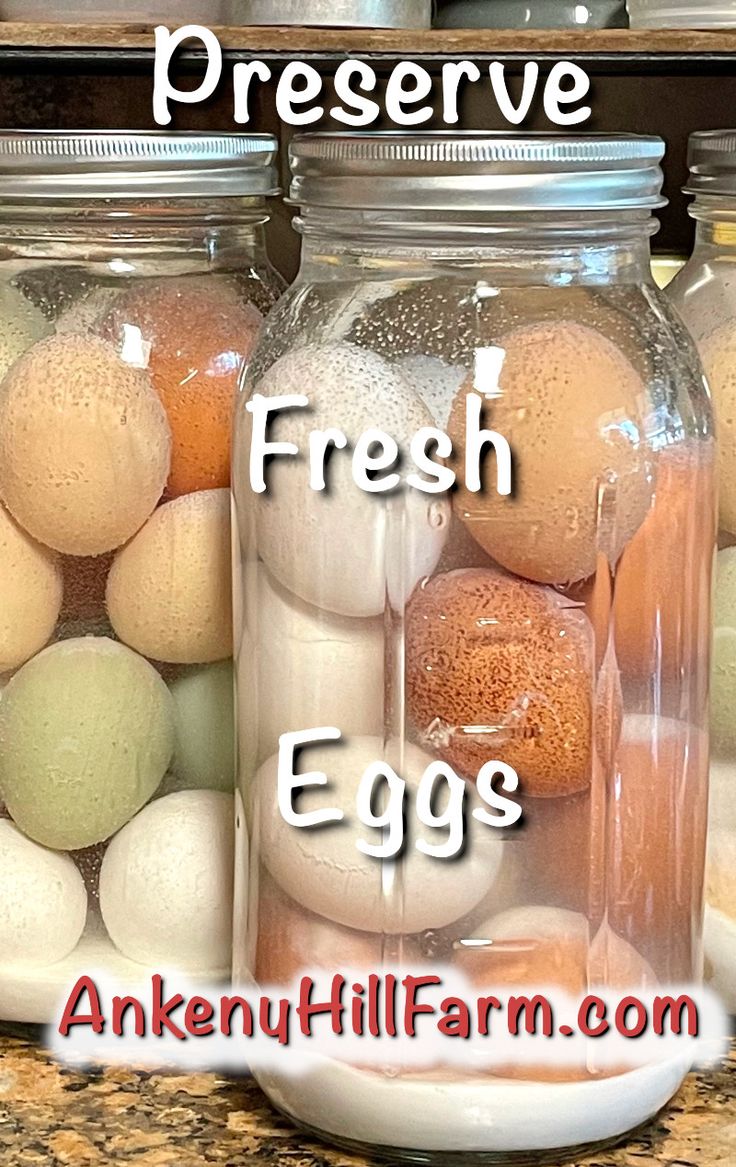 jars filled with eggs sitting on top of a counter next to each other and the words preserve fresh eggs