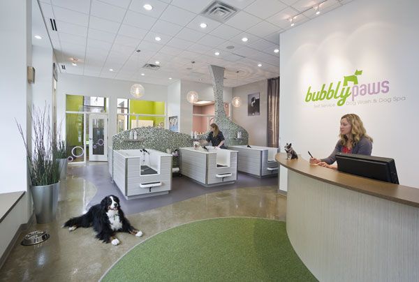 a dog sitting on the floor in front of a reception desk with people working at it