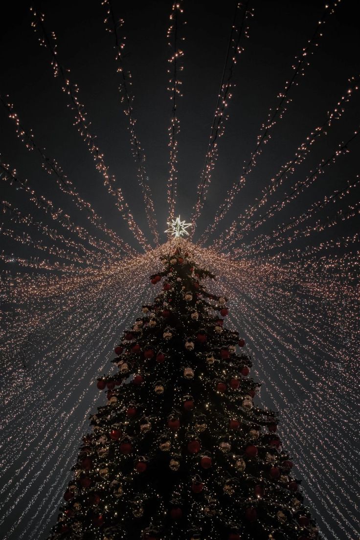 a large christmas tree is lit up with lights and snowflakes in the night sky